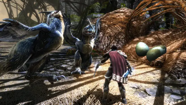 Download Kingdoms of Amalur: Re-Reckoning