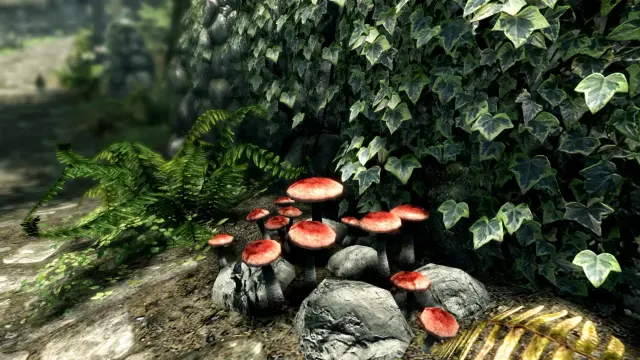 Download The Elder Scrolls V: Skyrim Special Edition