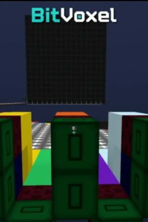 BitVoxel Mia Koyso