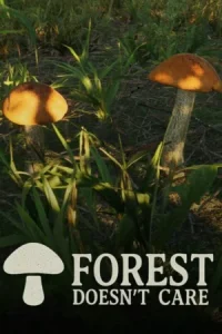 Forest Doesn’t Care Koyso